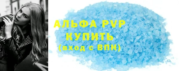сатива Новодвинск