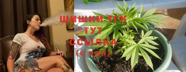хмурый Гусев