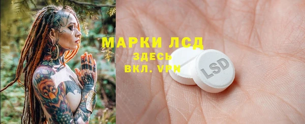 хмурый Гусев